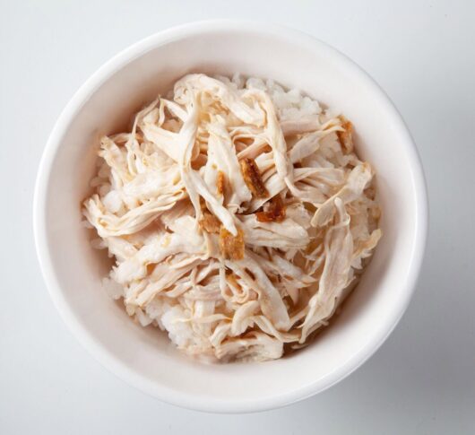 梁記嘉義雞肉飯